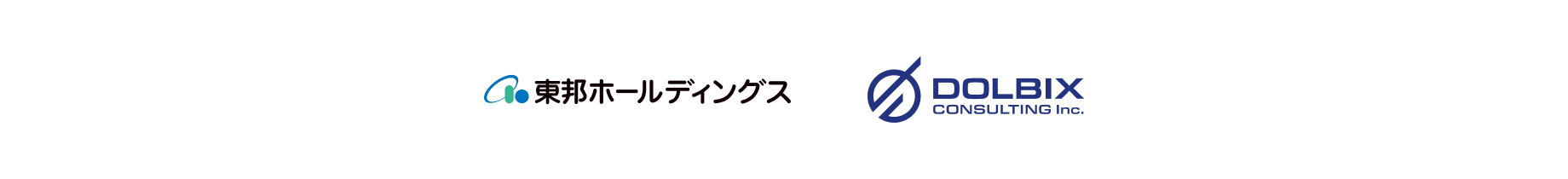 DOLBIX CONSULTING 東邦ホールディングス